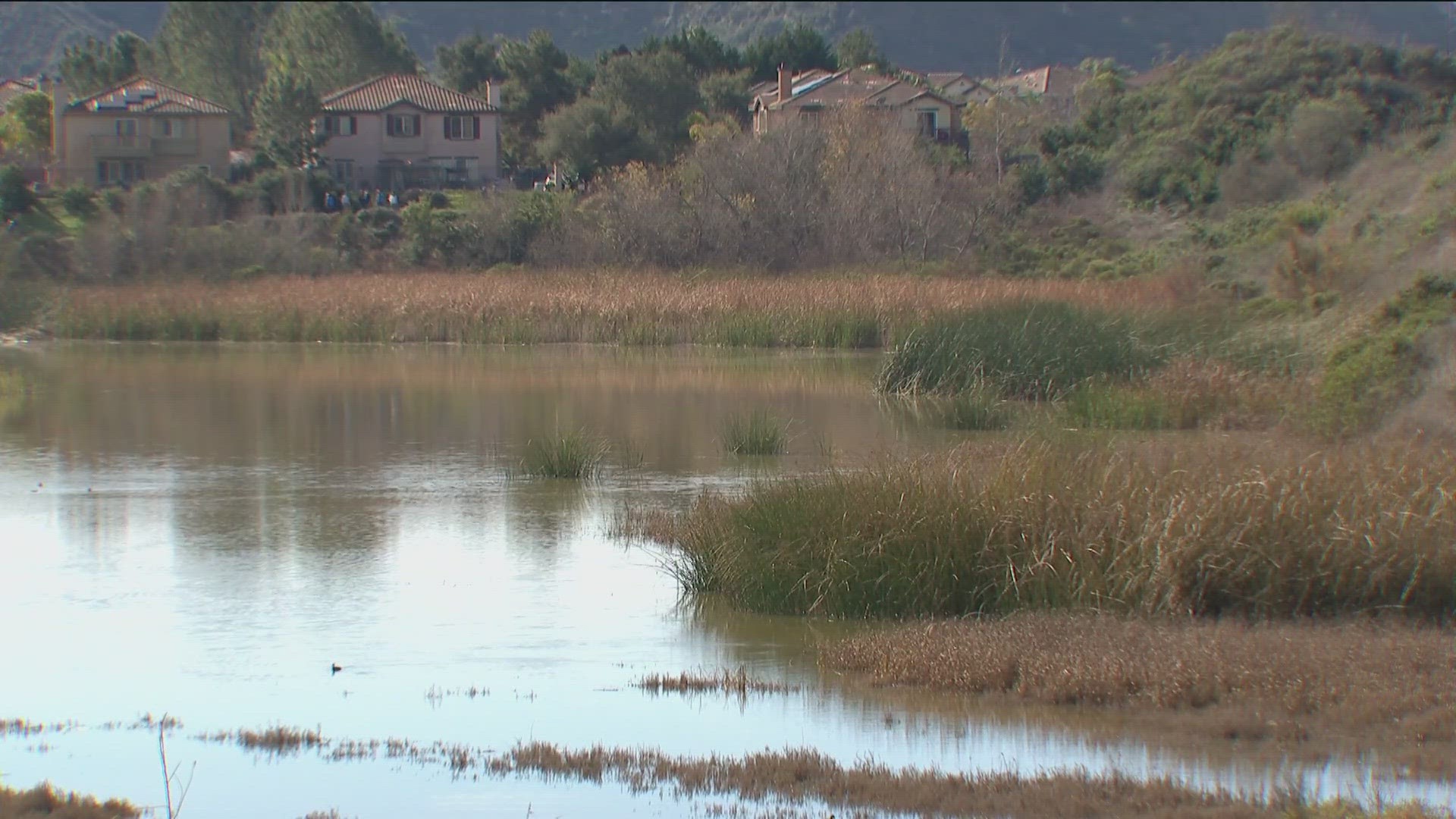 The Wanis View Preserve landscape is home to over 300 native birds, plants, insects, and animals including 22 that are rare, endangered and species of interest.