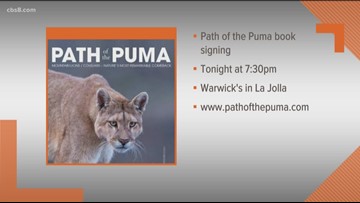 path of the puma jim williams