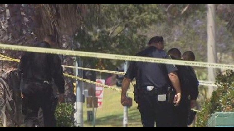 Alleged gunman in Mountain View Park murders pleads not guilty | cbs8.com