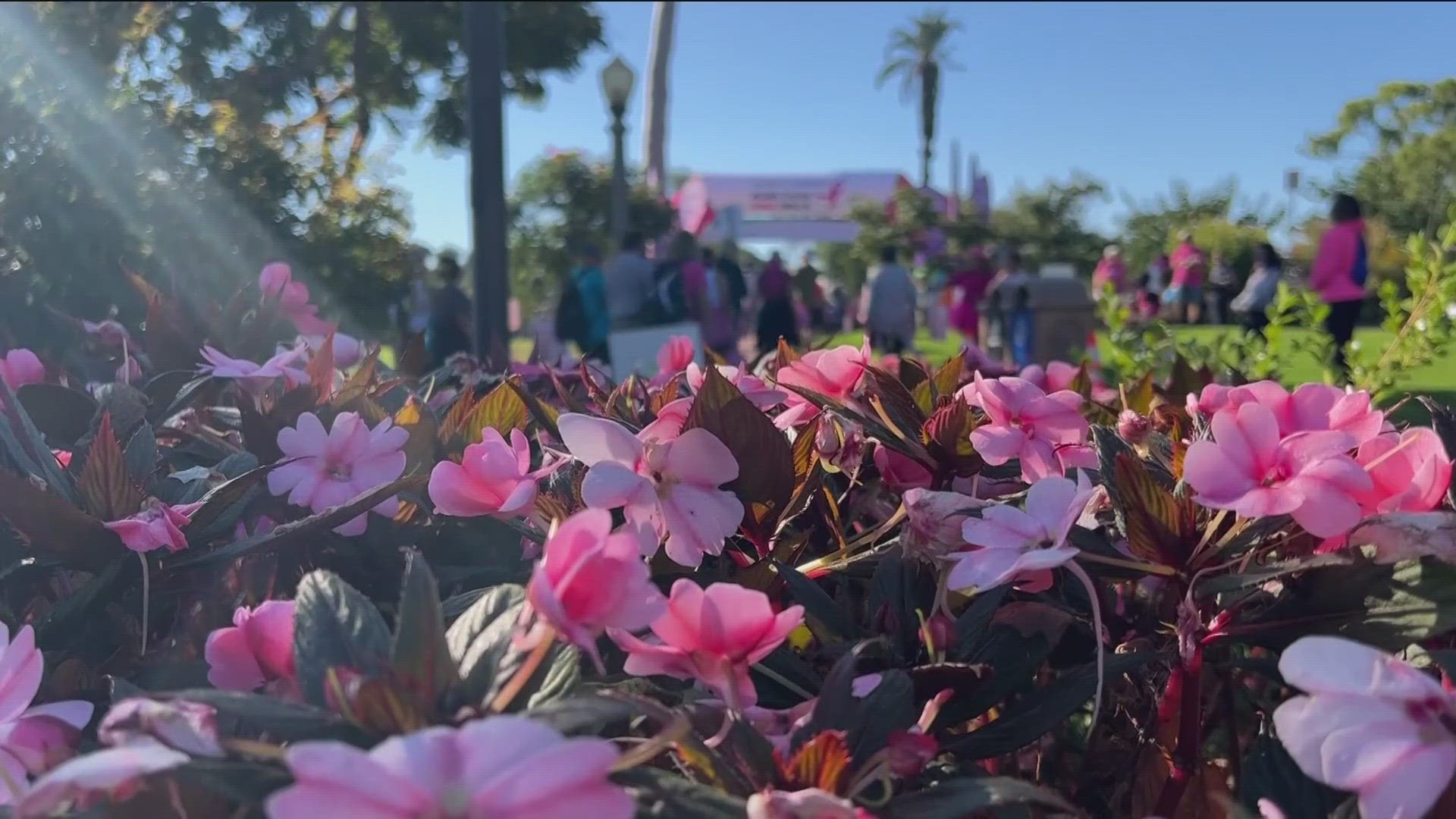 Thousands of walkers painted the town pink Sunday morning for the More Than Pink Walk at Balboa Park.