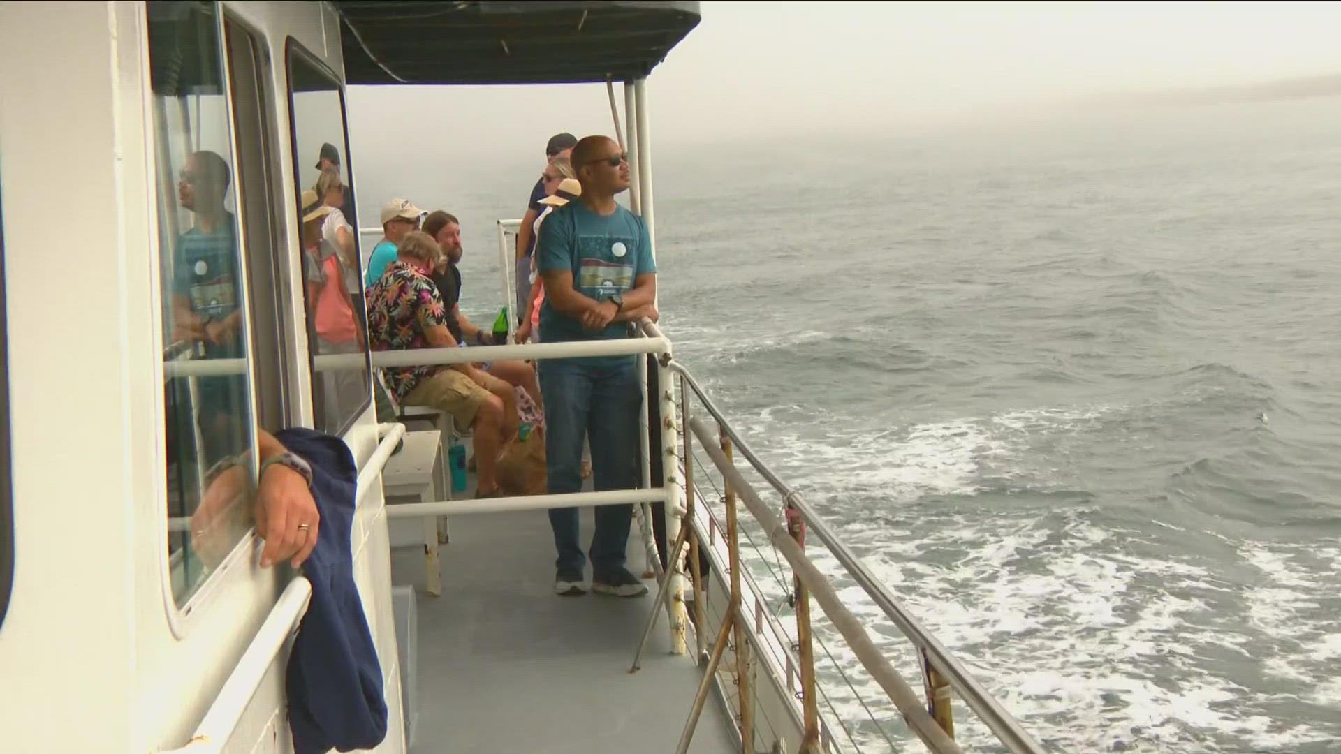 It didn't take long before we started seeing marine mammals like California Sea Lions as we departed and birds along our hazy journey.