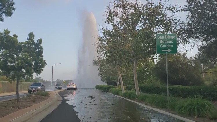 Hydrant blowout on Quail Garden Dr between Encinitas and Leucandia.