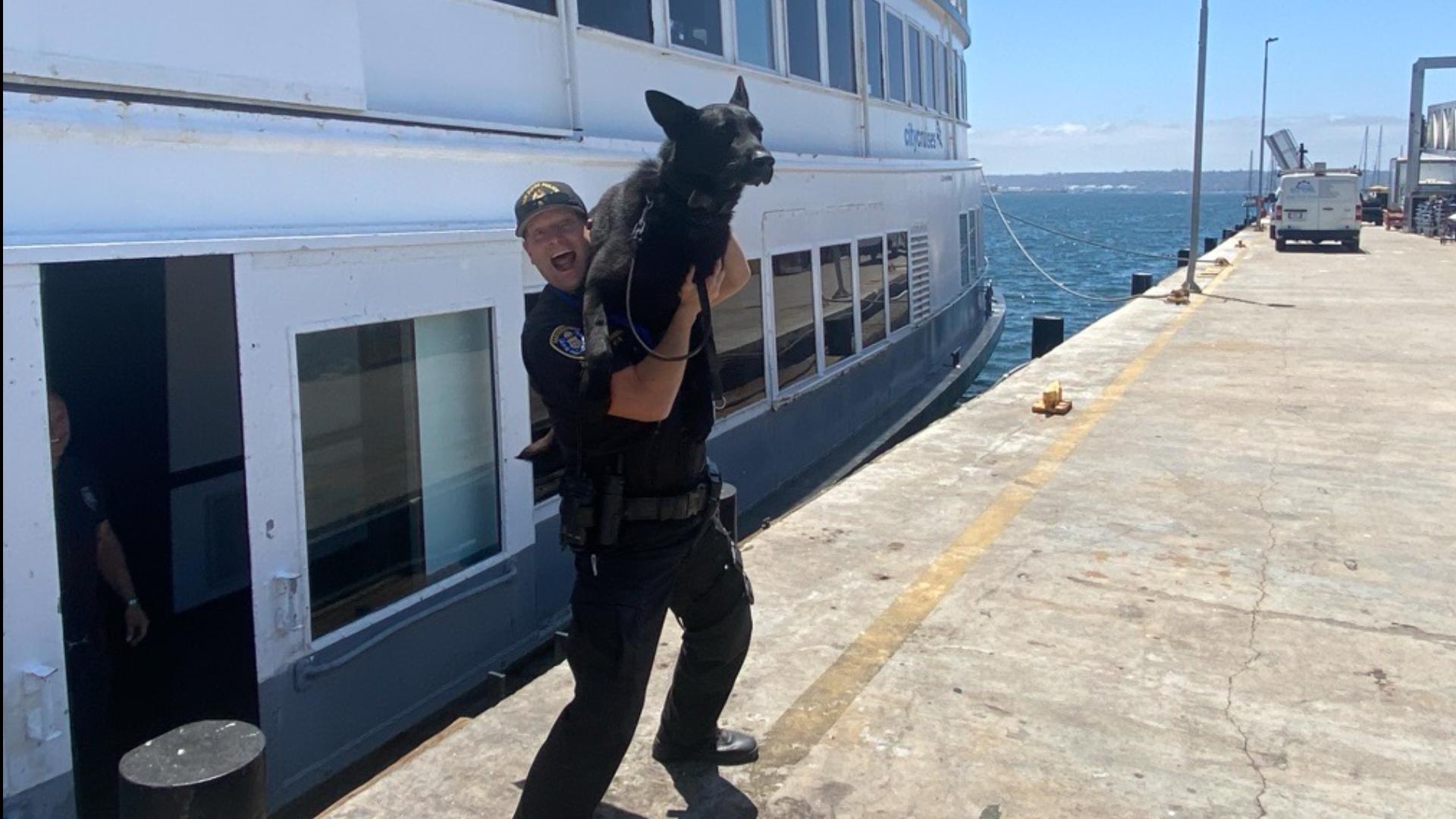 Man arrested after SWAT standoff has long history of fleeing into San ...