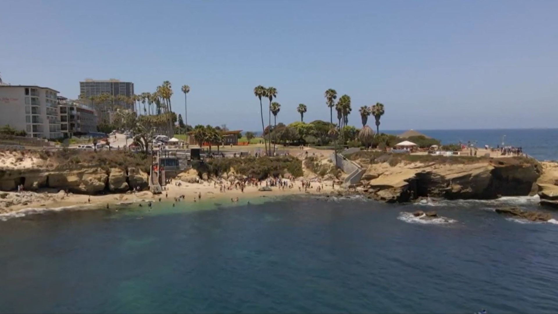 La Jolla Cove makes Tripadvisor Best Beaches list | cbs8.com