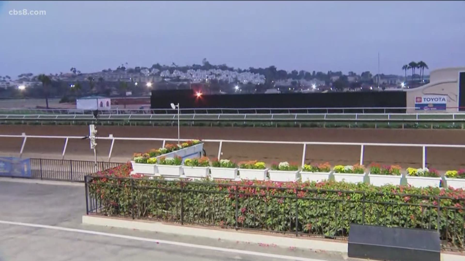 Heading to Del Mar for Opening Day? Ashley talks to experts about what to expect.