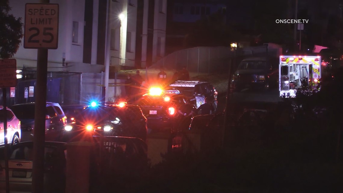 Woman killed and 12-year-old son wounded in Lincoln Park shootings - Vimarsana News