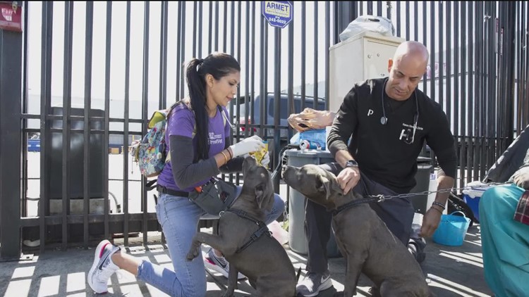'Project Street Vet' giving veterinary care to pets of owners experiencing homelessness