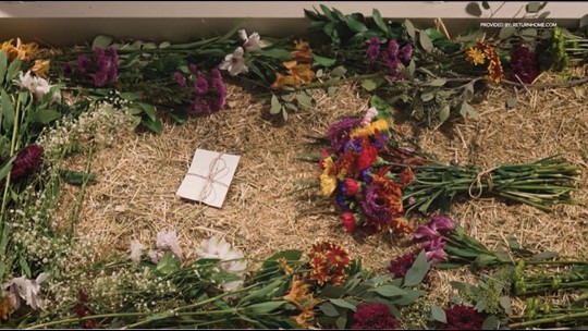 California Legalizes Human Composting As An Eco friendly Burial Option 