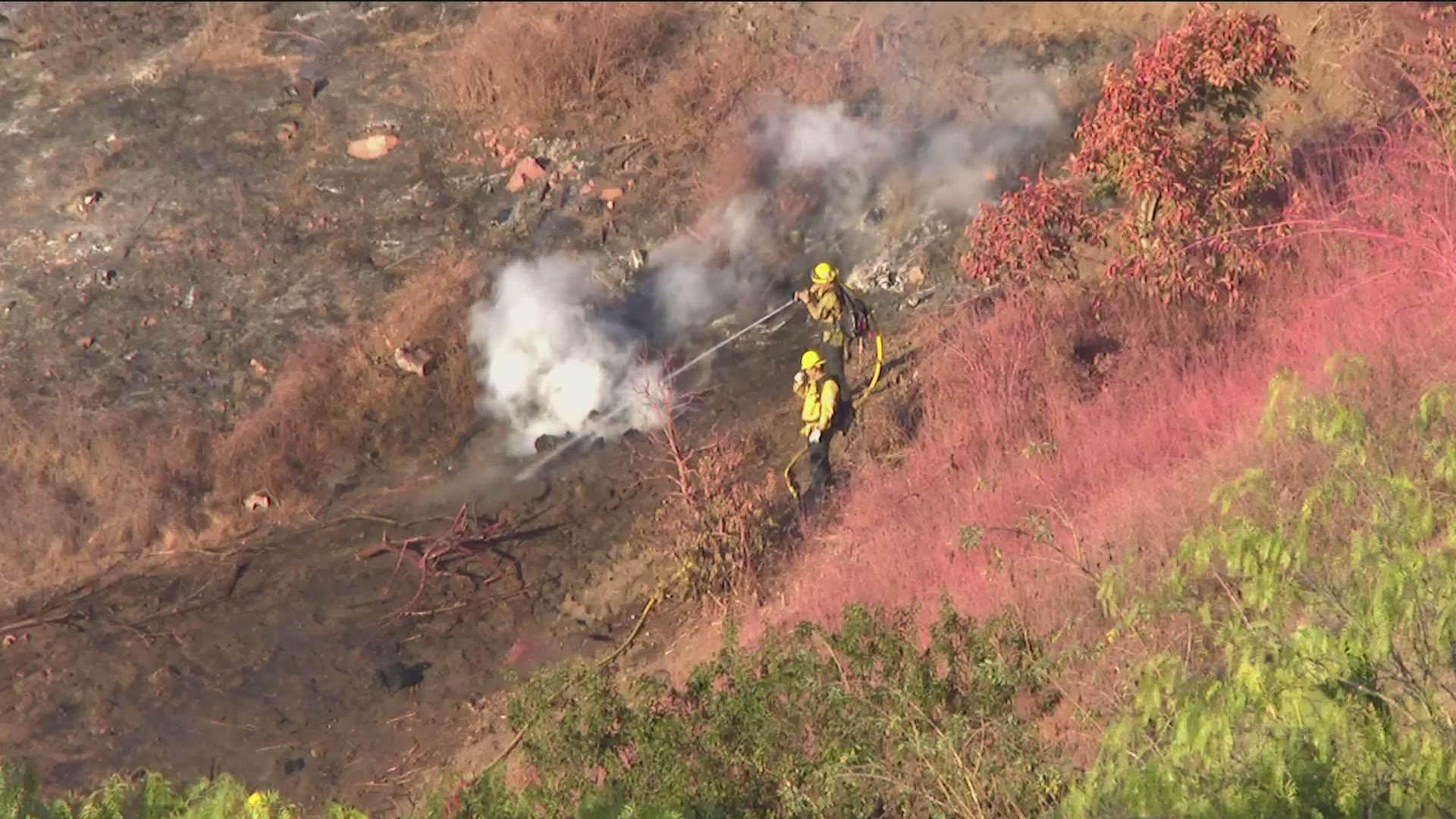 The Garden Fire was reported in the 3800 block of Lake Garden Drive in Bonsall and quickly burned roughly 50 acres near homes, causing evacuations.