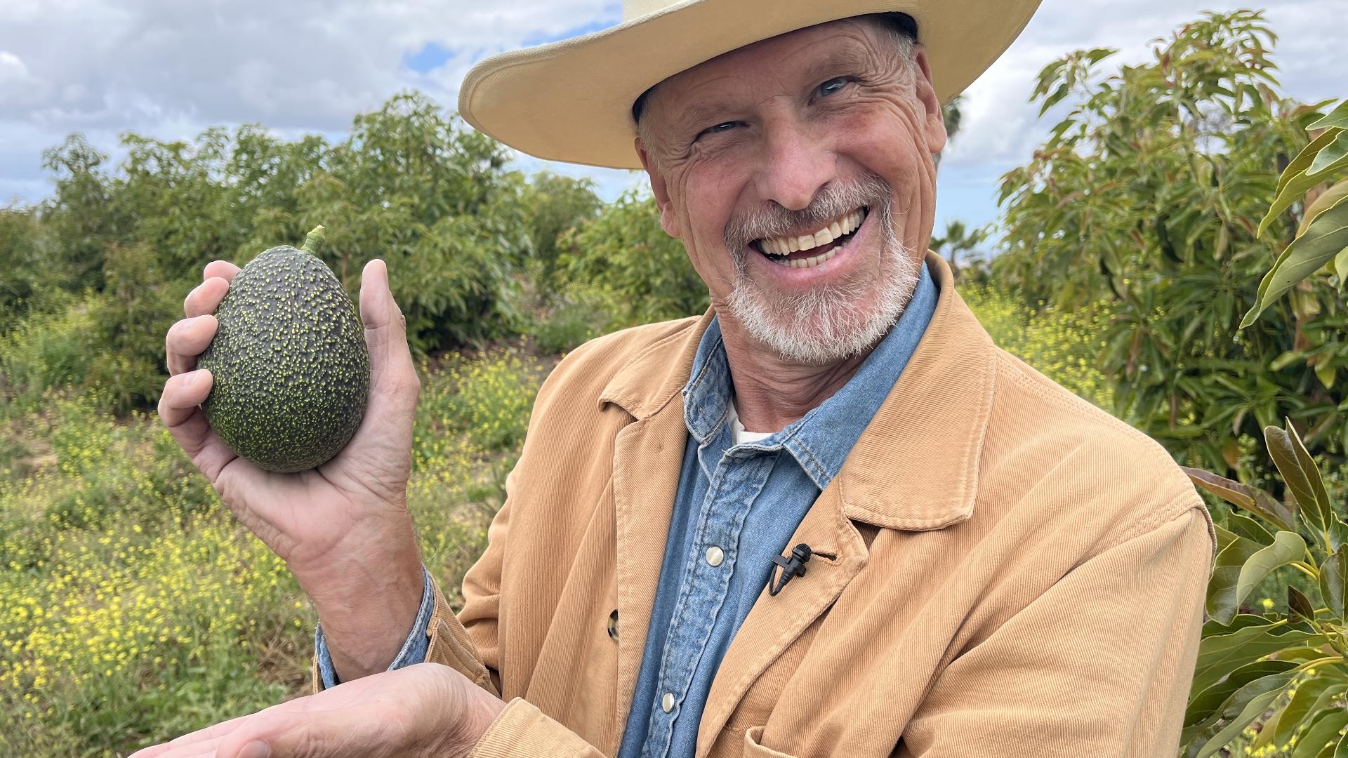 cbs8.com - Jeff Zevely - New program allows San Diego residents to adopt trees to help avocado farms