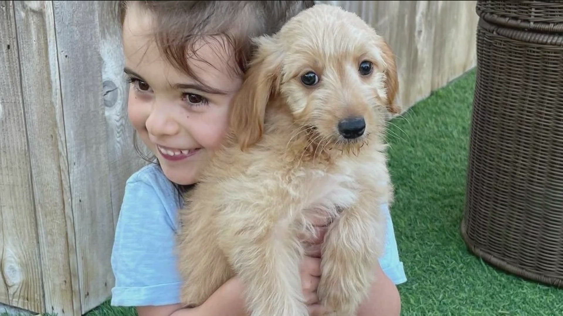 CBS 8 Give-A-Thon next week funds Rady Children's first therapy dog program for hospitalized patients needing comfort.