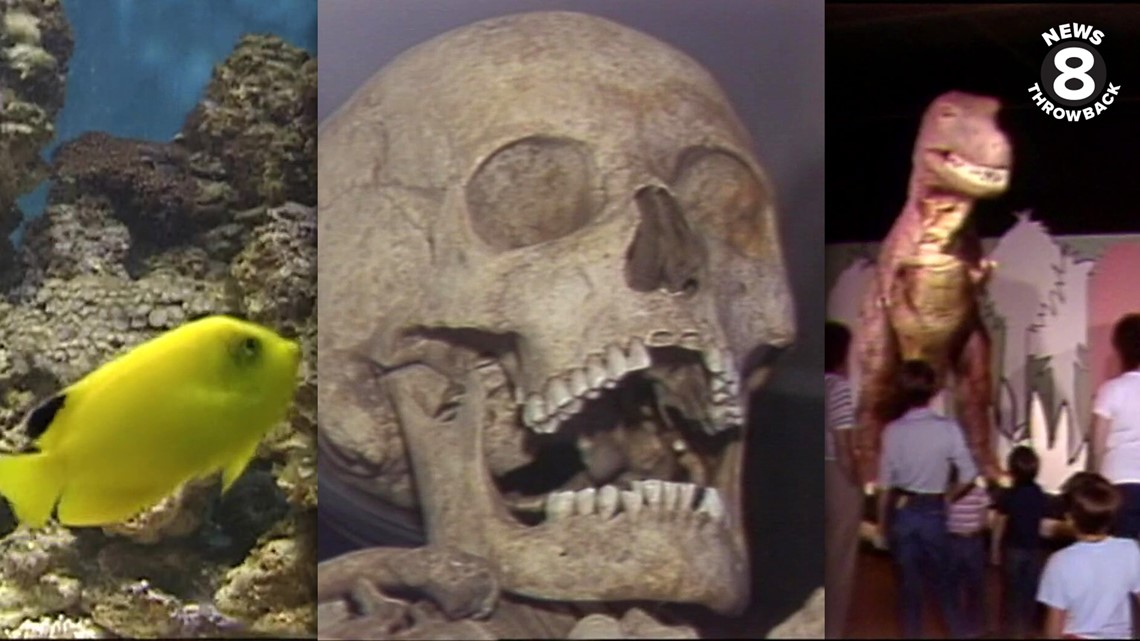 News 8 Throwback: Celebrating San Diego Museum Month with some the county's finest institutions - Vimarsana News