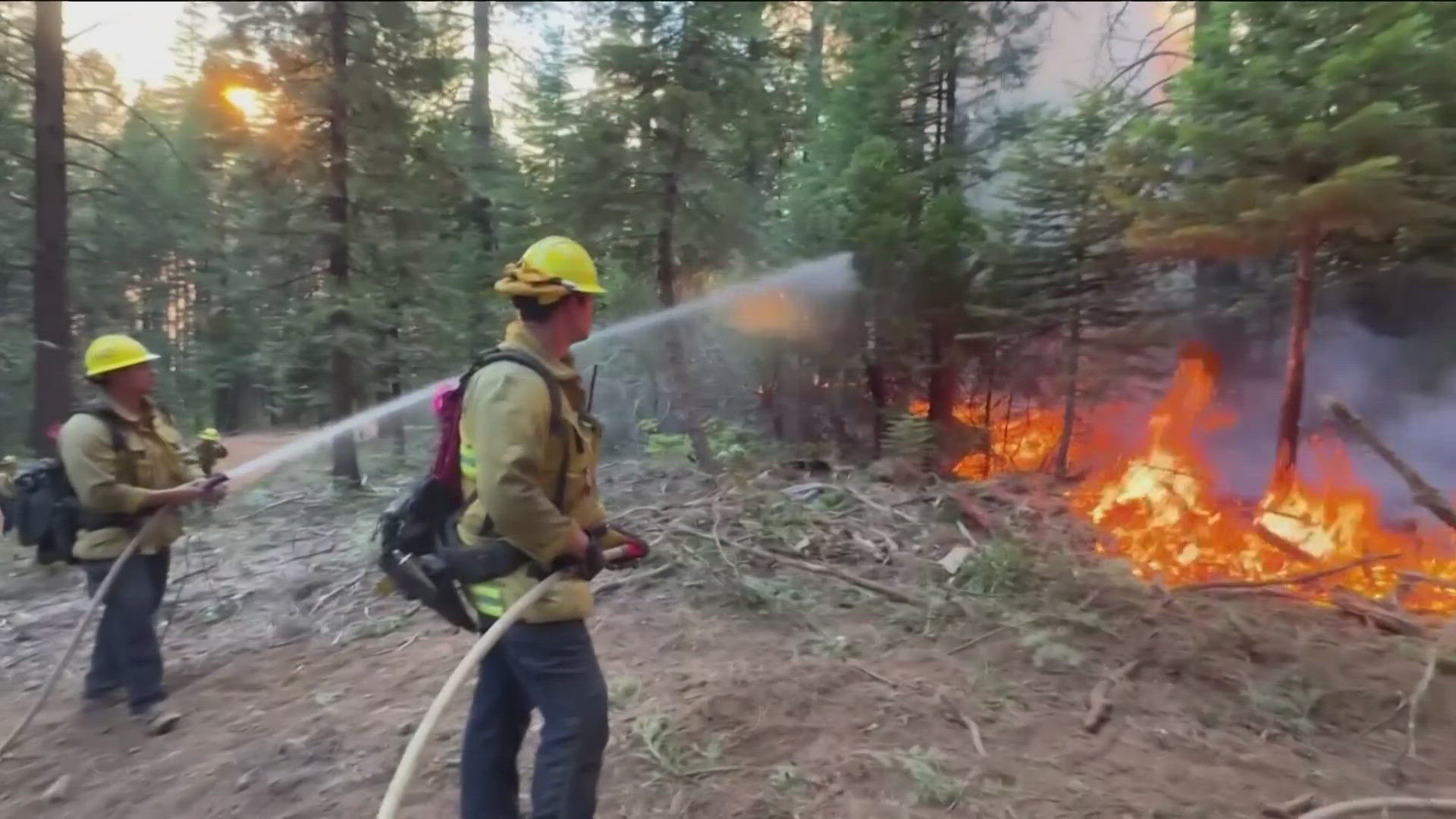 Chula Vista Fire Department helps fight destructive Park Fire | cbs8.com