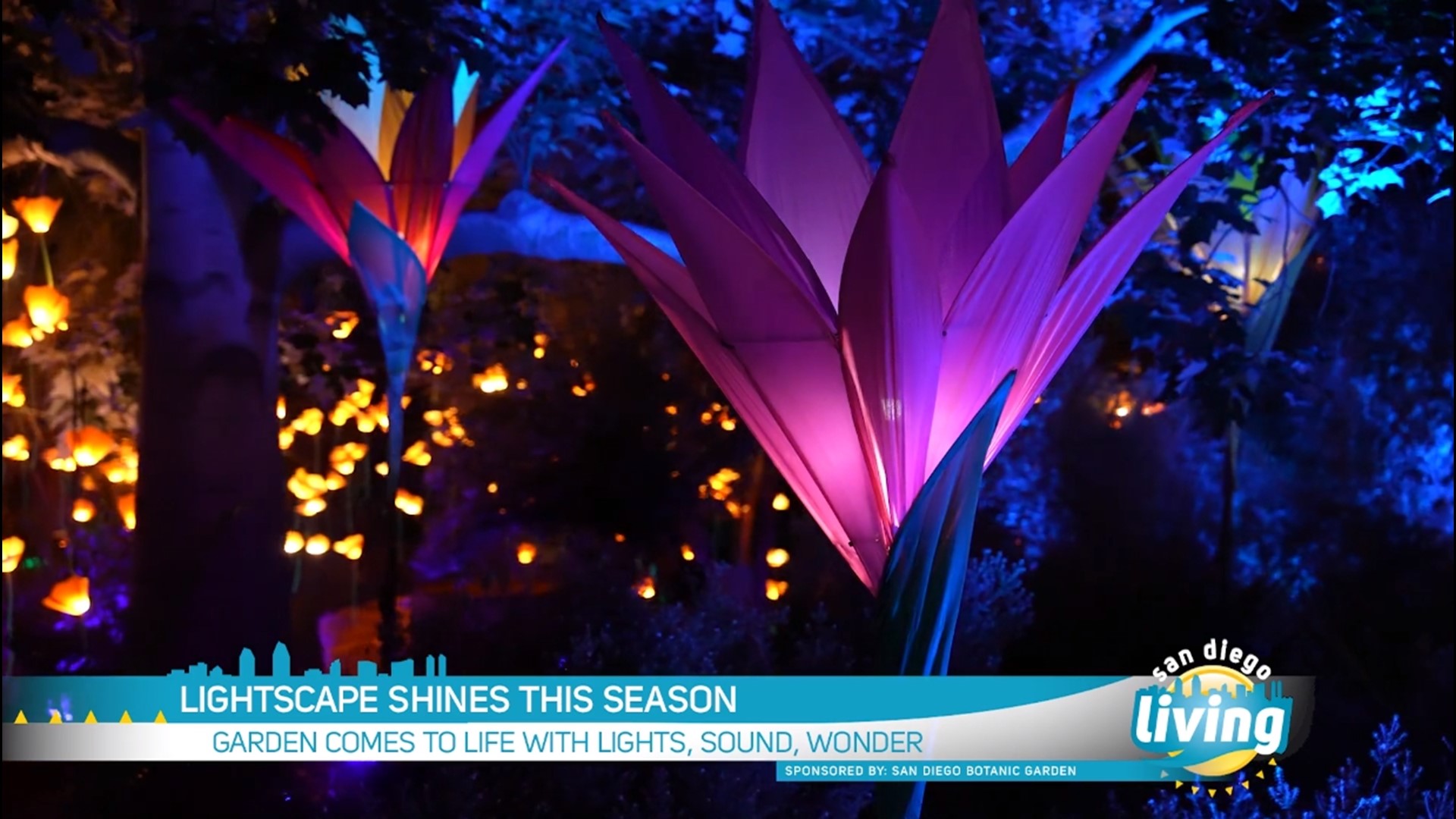 Lightscape is back and reimagined for the holiday season. Sponsored by: San Diego Botanic Garden