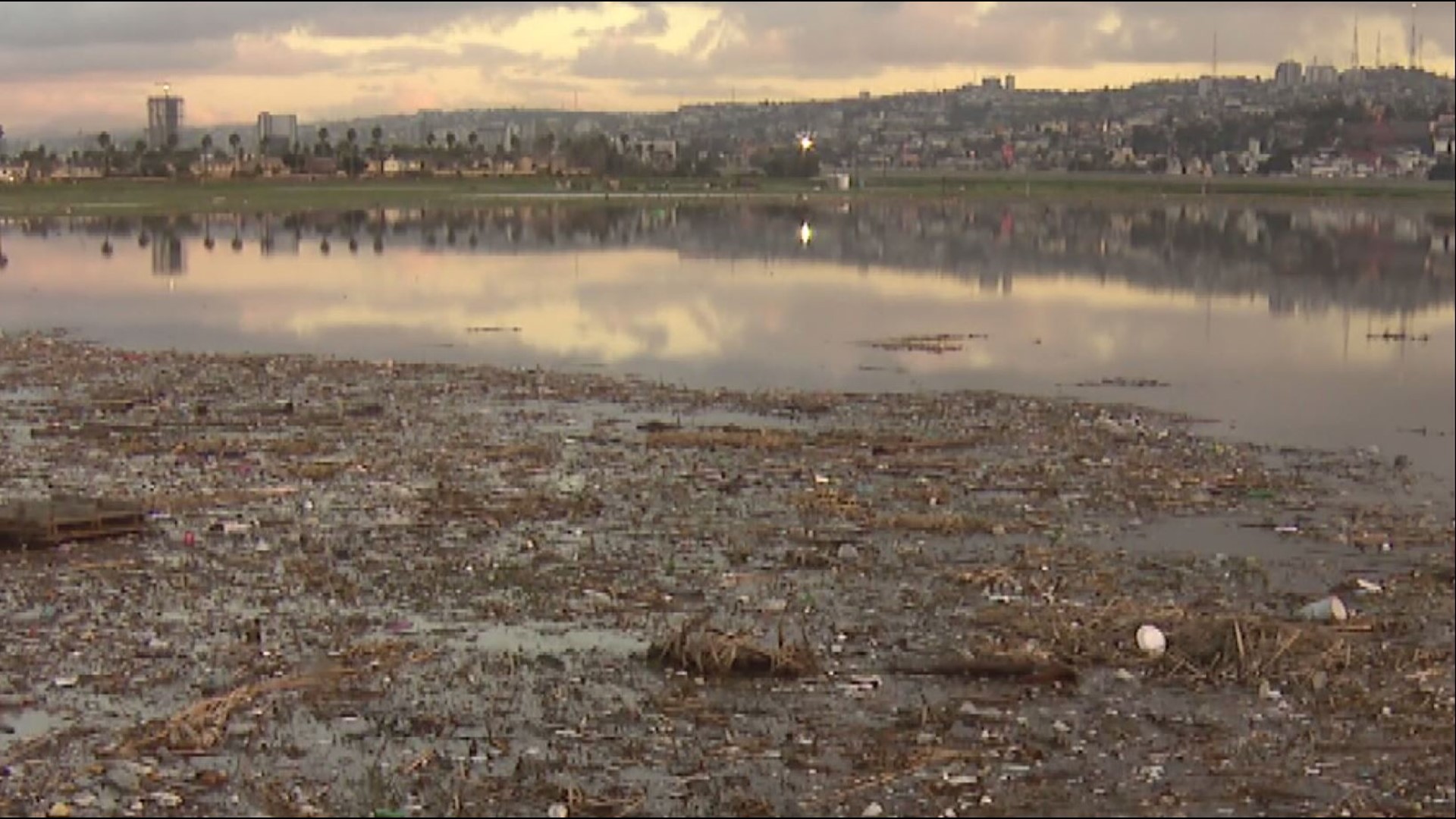 Tons of sewage and trash flooded into the Tijuana River Valley covering a sod farm.