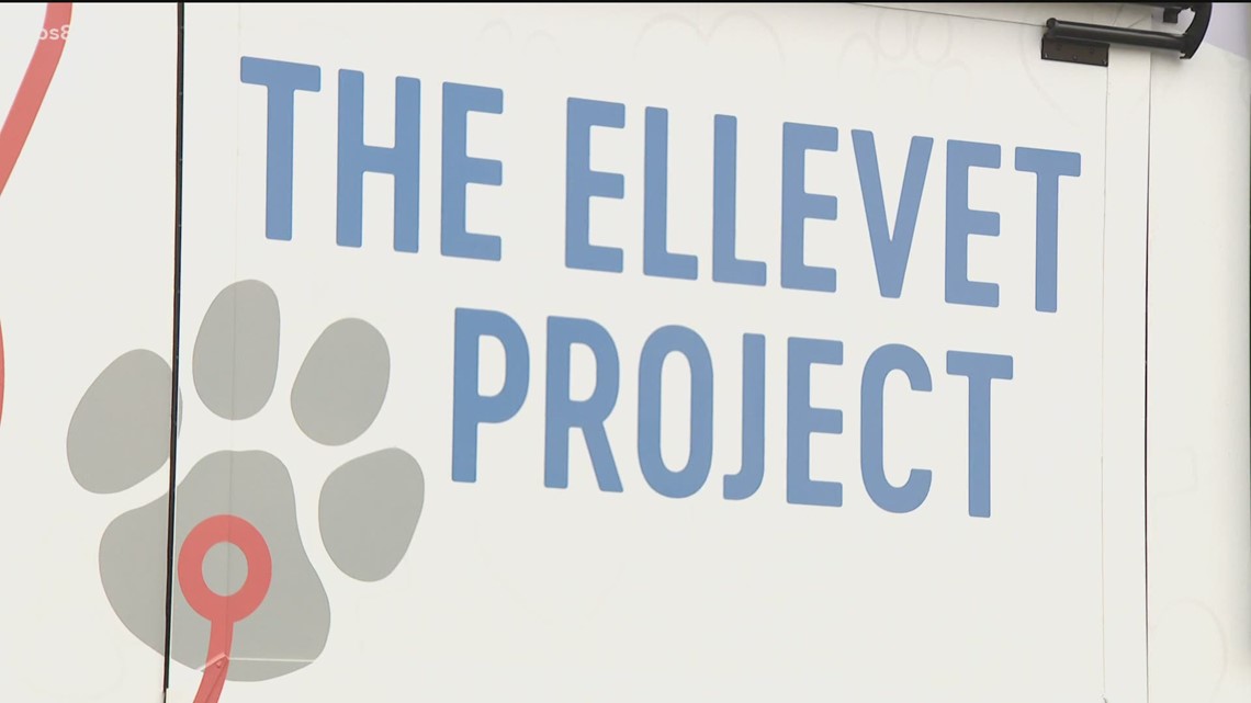 'ElleVet Project' returns to California to help homeless pets - Vimarsana News