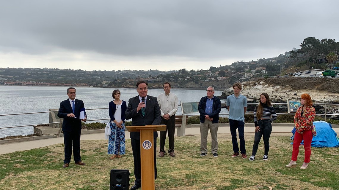 City councilman reminds tourists to give sea lion pups space - Vimarsana News