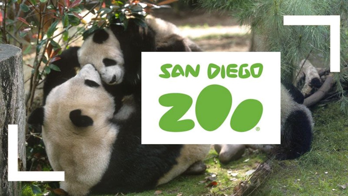 TV series on San Diego Zoo premieres Saturday on Animal Planet 