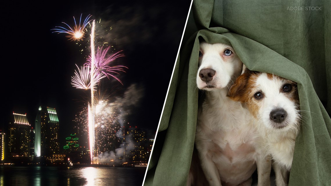 How to keep your pets safe during the 4th of July