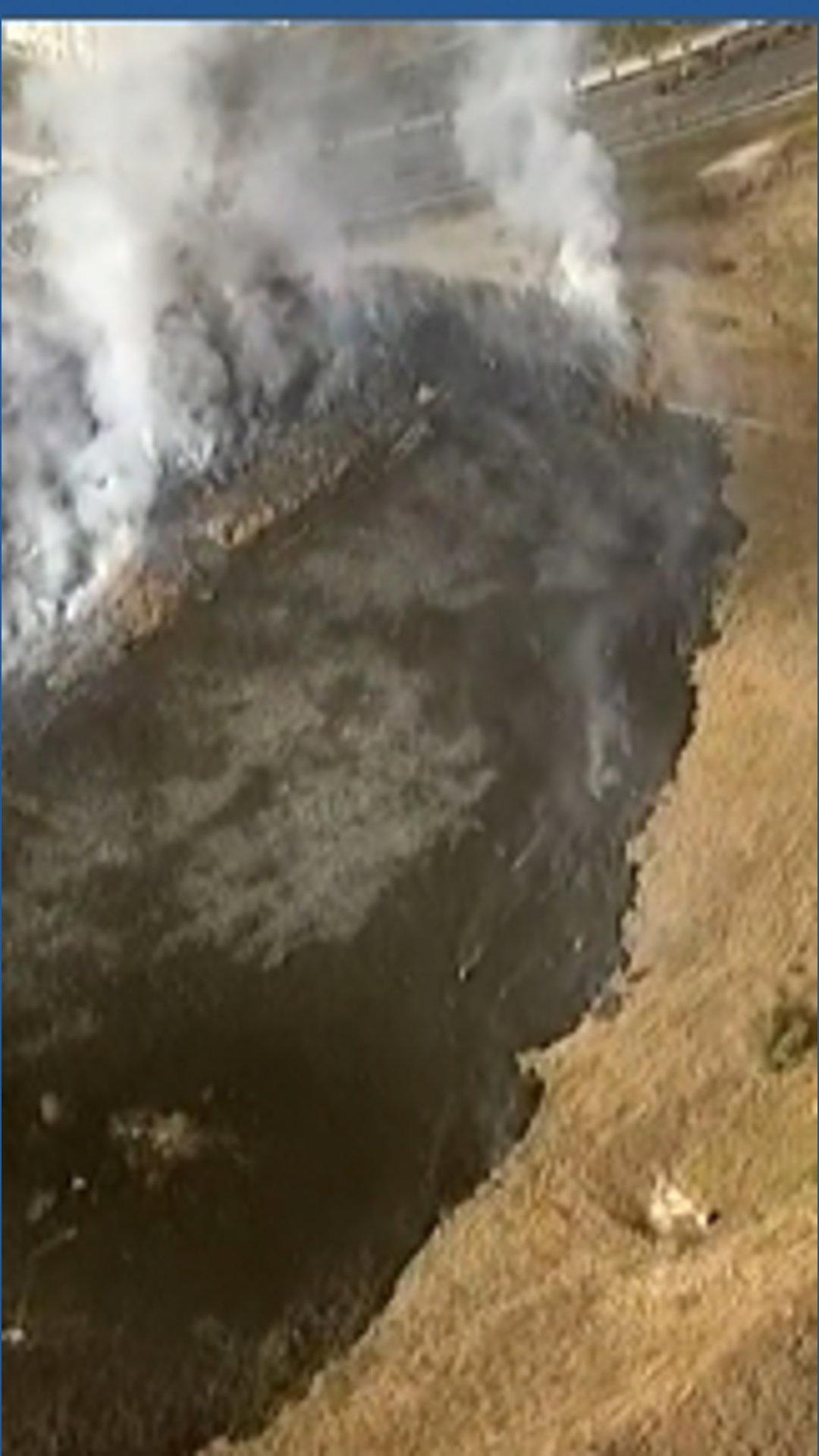 Fire crews contain vegetation fire in Oceanside