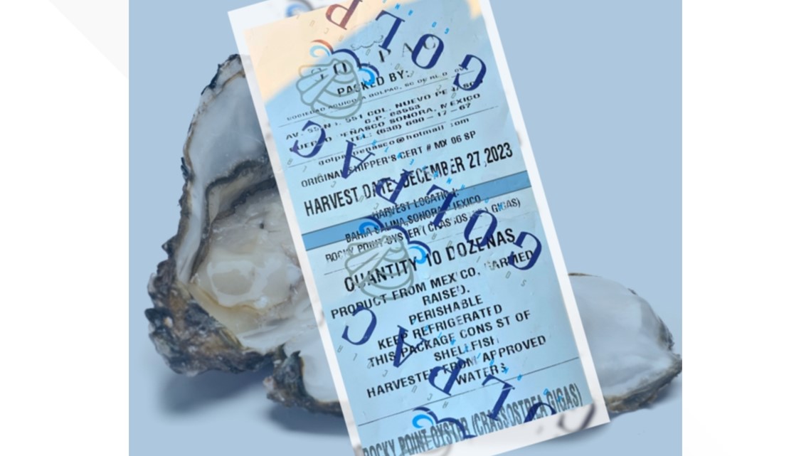 County investigating illnesses linked to imported oysters - Vimarsana News