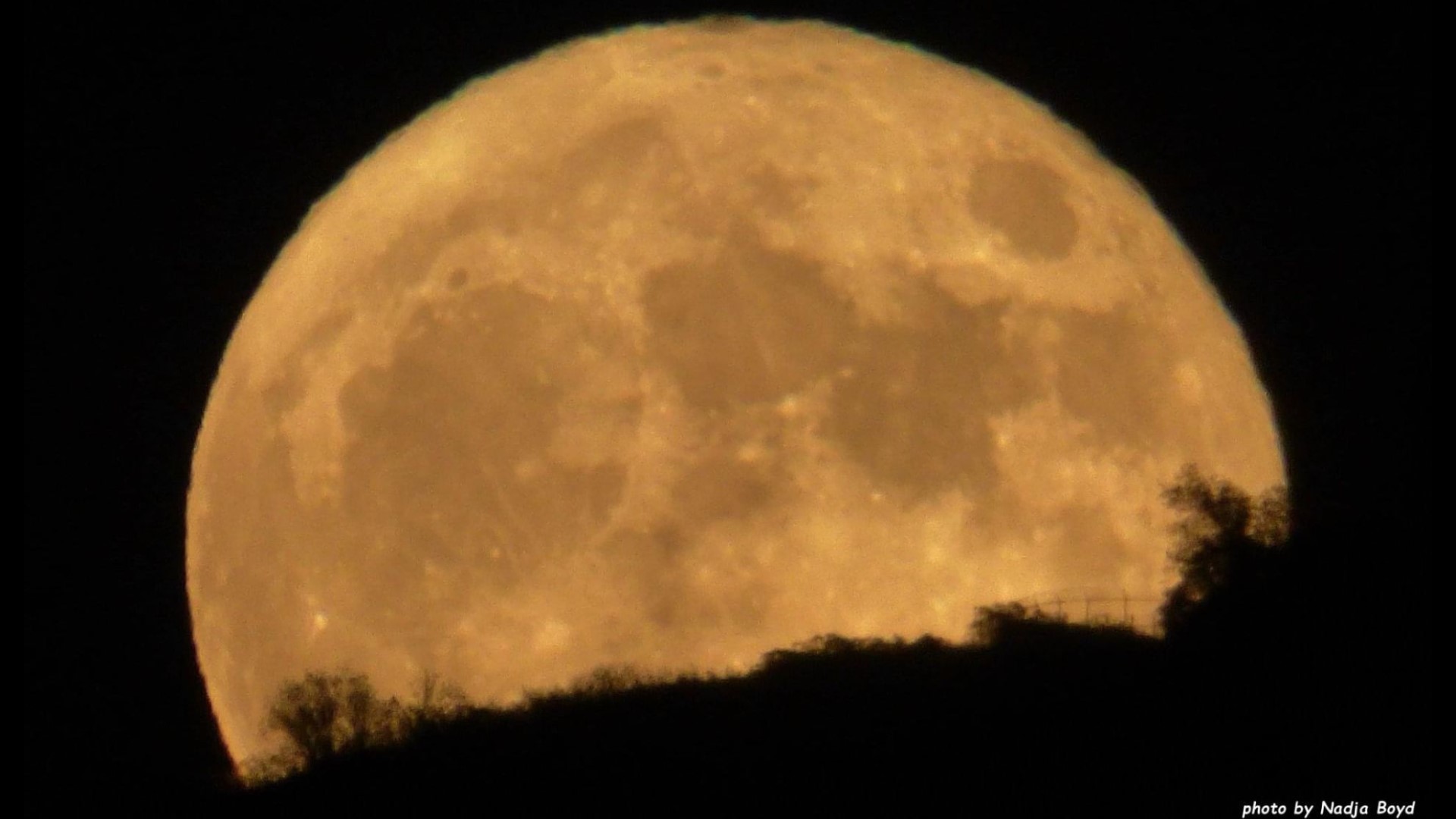 PHOTOS Supermoon graces San Diego sky