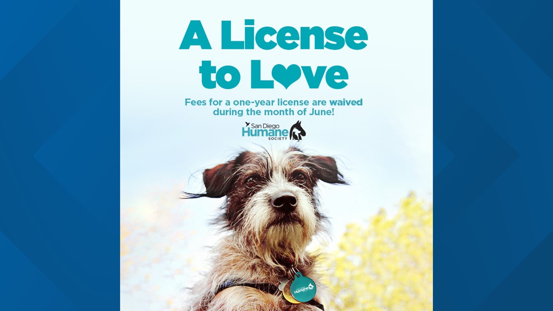 how much does a dog license cost