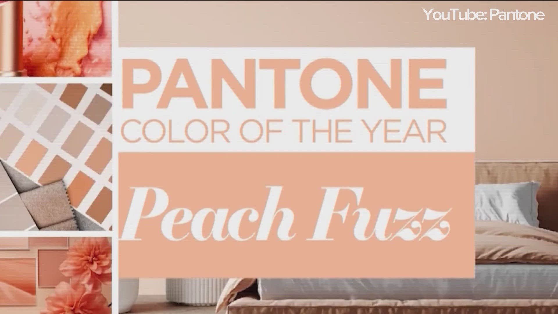 See peach fuzz, Pantone's color of the year for 2024 - CBS News