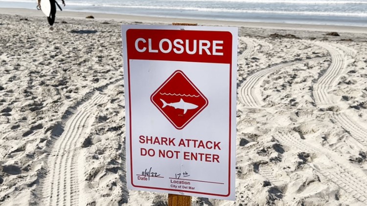 Del Mar Beach closed after swimmer survives shark attack | cbs8.com