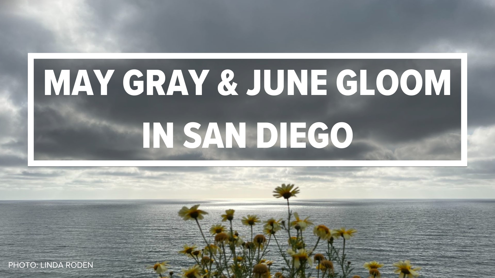 The marine layer is a common weather phenomenon along the California coast. What makes May and June exceptional months for this overcast pattern is cold ocean water.