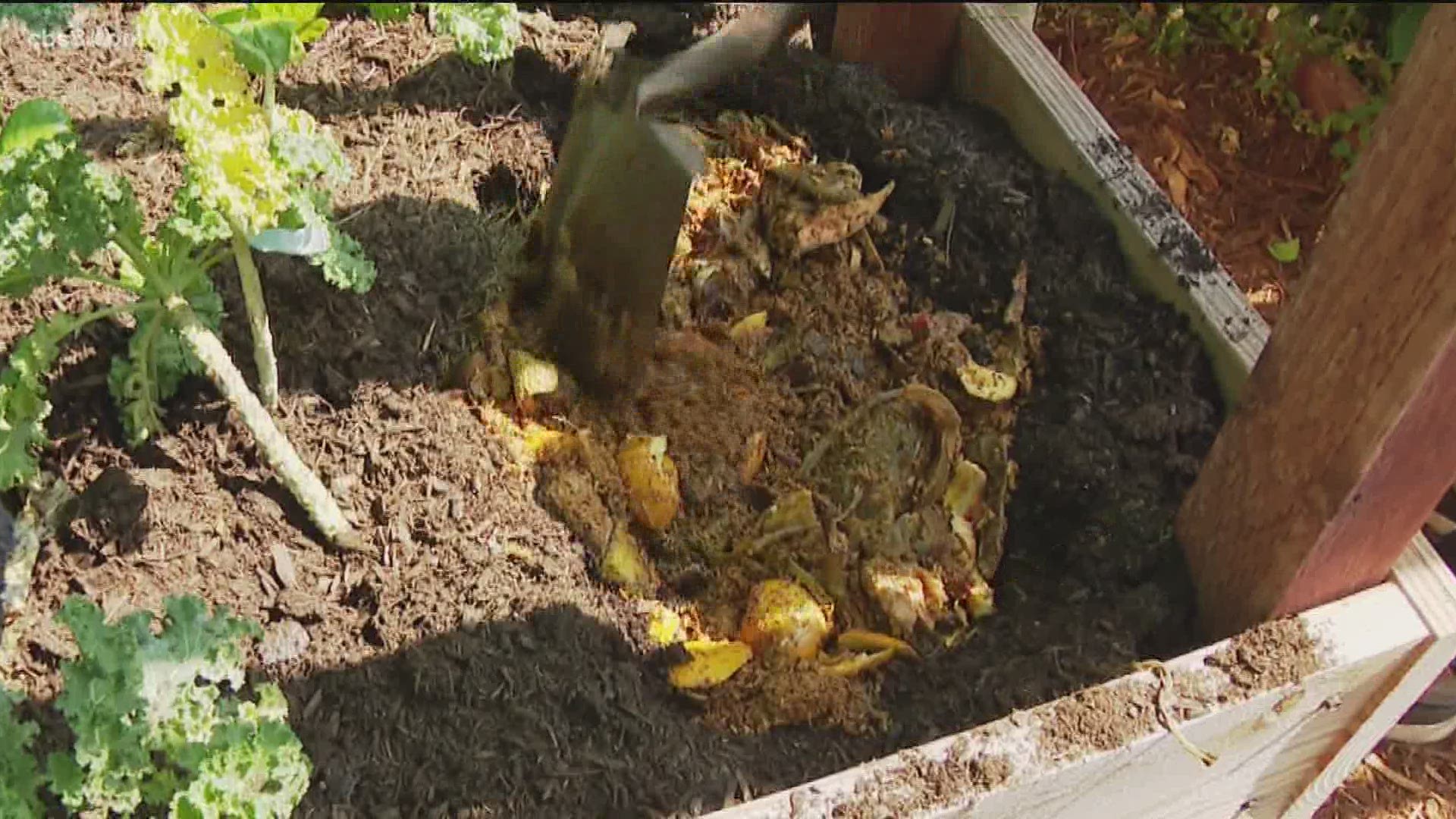 How you can compost, too, ahead of the new trash law.