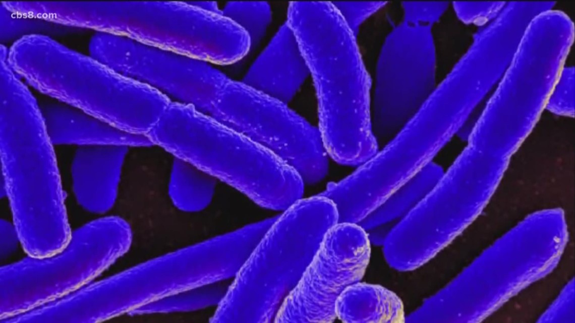 E. Coli Outbreak 4 new cases reported may be related to San Diego
