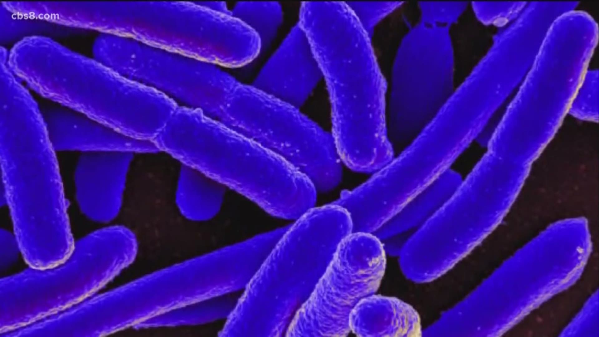 E. Coli Outbreak 4 new cases reported may be related to San Diego