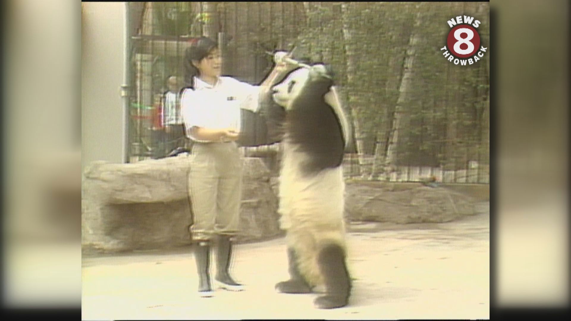 In 1996 the San Diego Zoo welcomed pandas Bai Yun and Shi Shi. Larry Himmel looked back at the last time pandas visited the zoo in 1987.