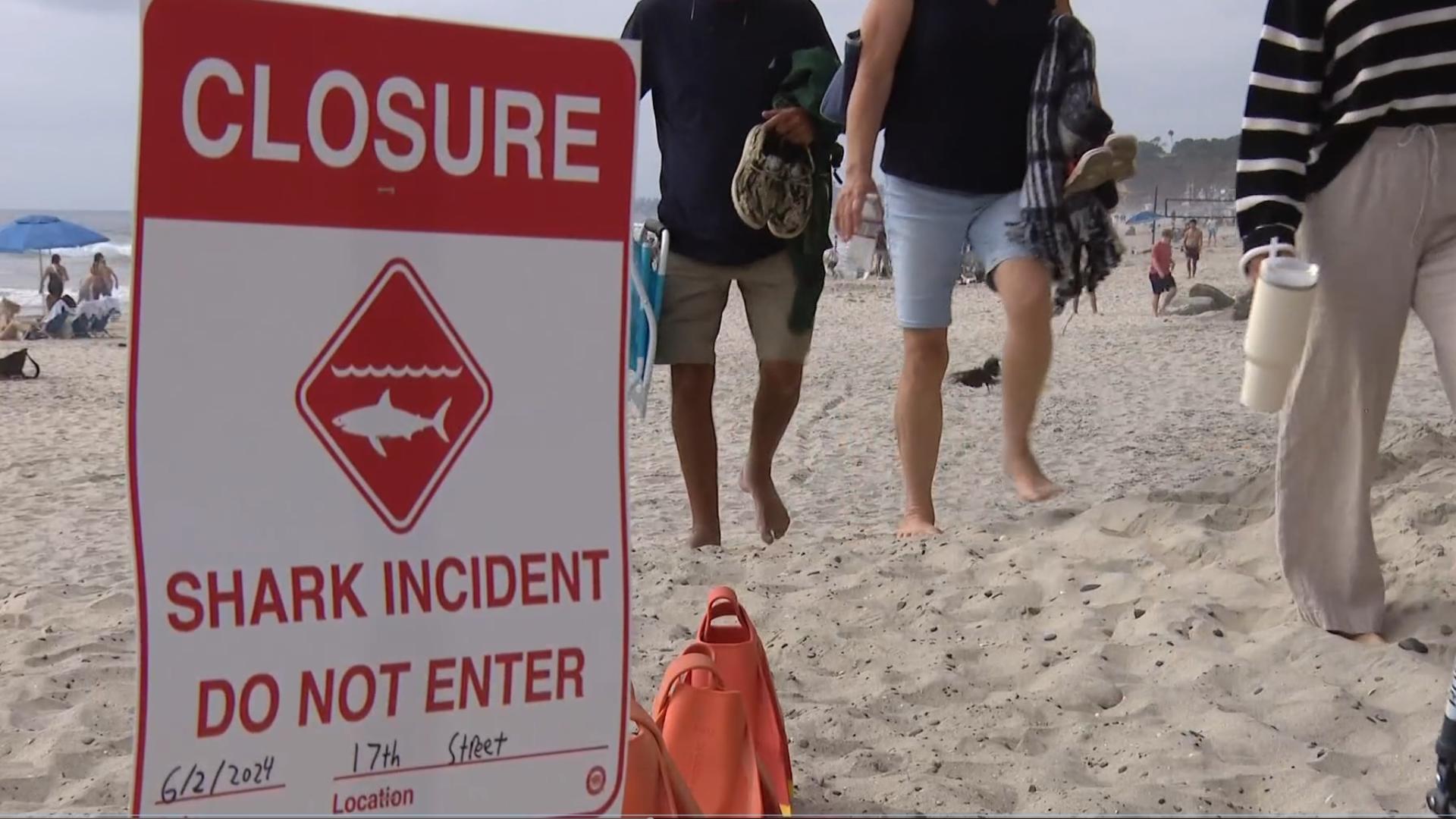 The shark encountered a 46-year-old man at 9 a.m. on Sunday, about 100 yards offshore from the Beach Safety Center at 17th Street, according to city officials.