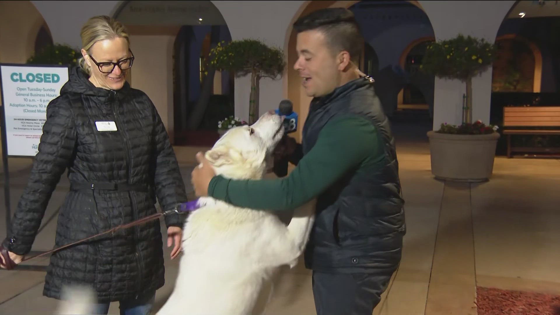 SD Humane Society celebrating Giving Tuesday