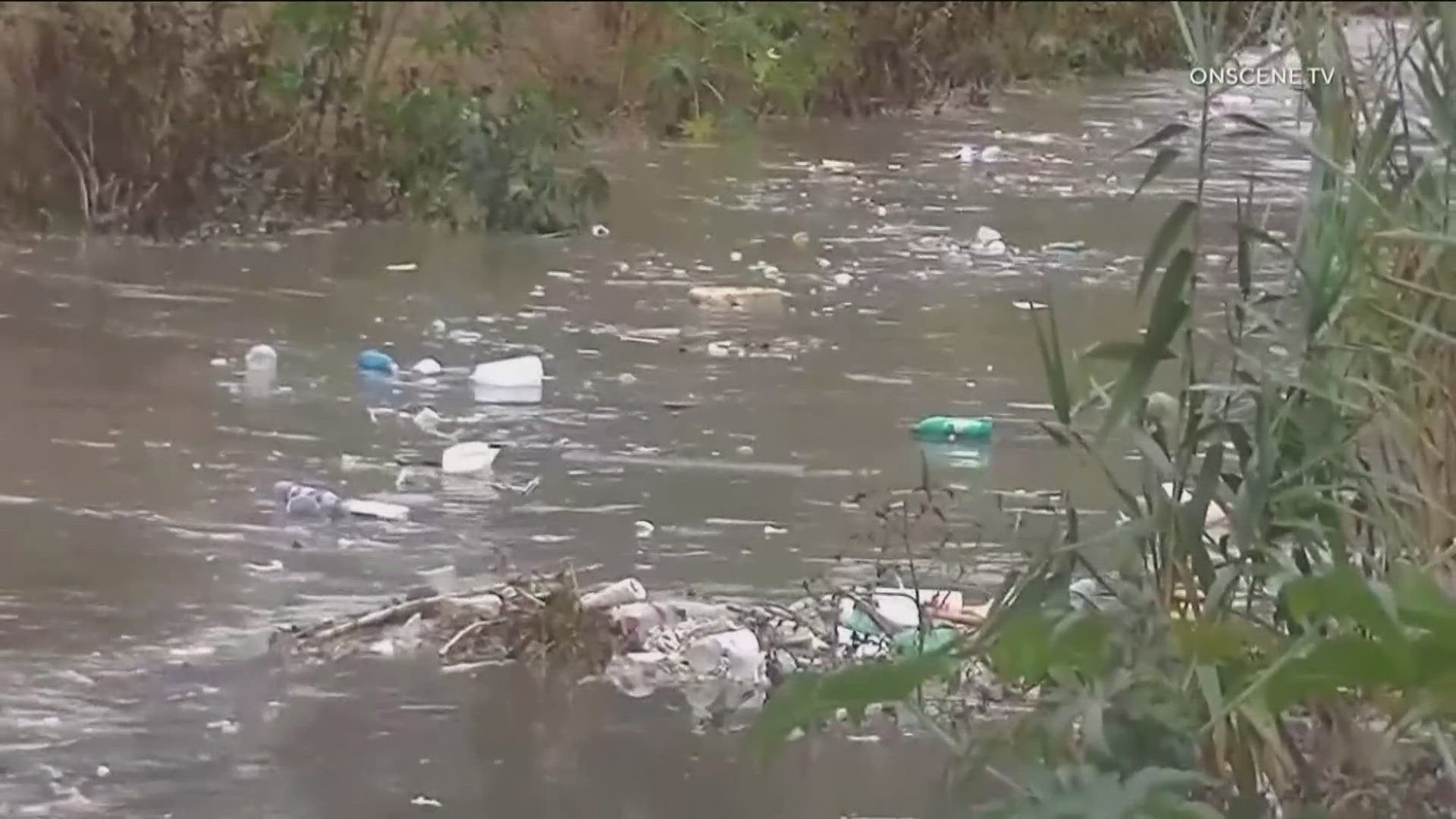 Councilmember Vivian Moreno wants the federal government to declare a national emergency on the Tijuana River sewage crisis.