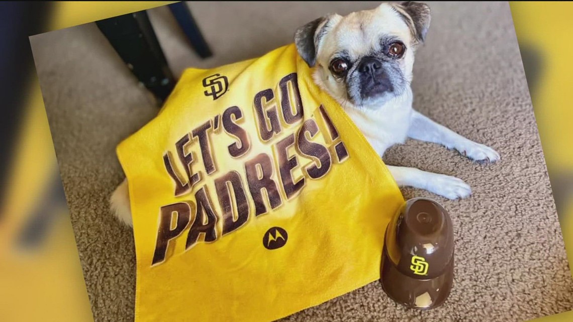 SD Humane Society has Padres cure for Baseball Blues