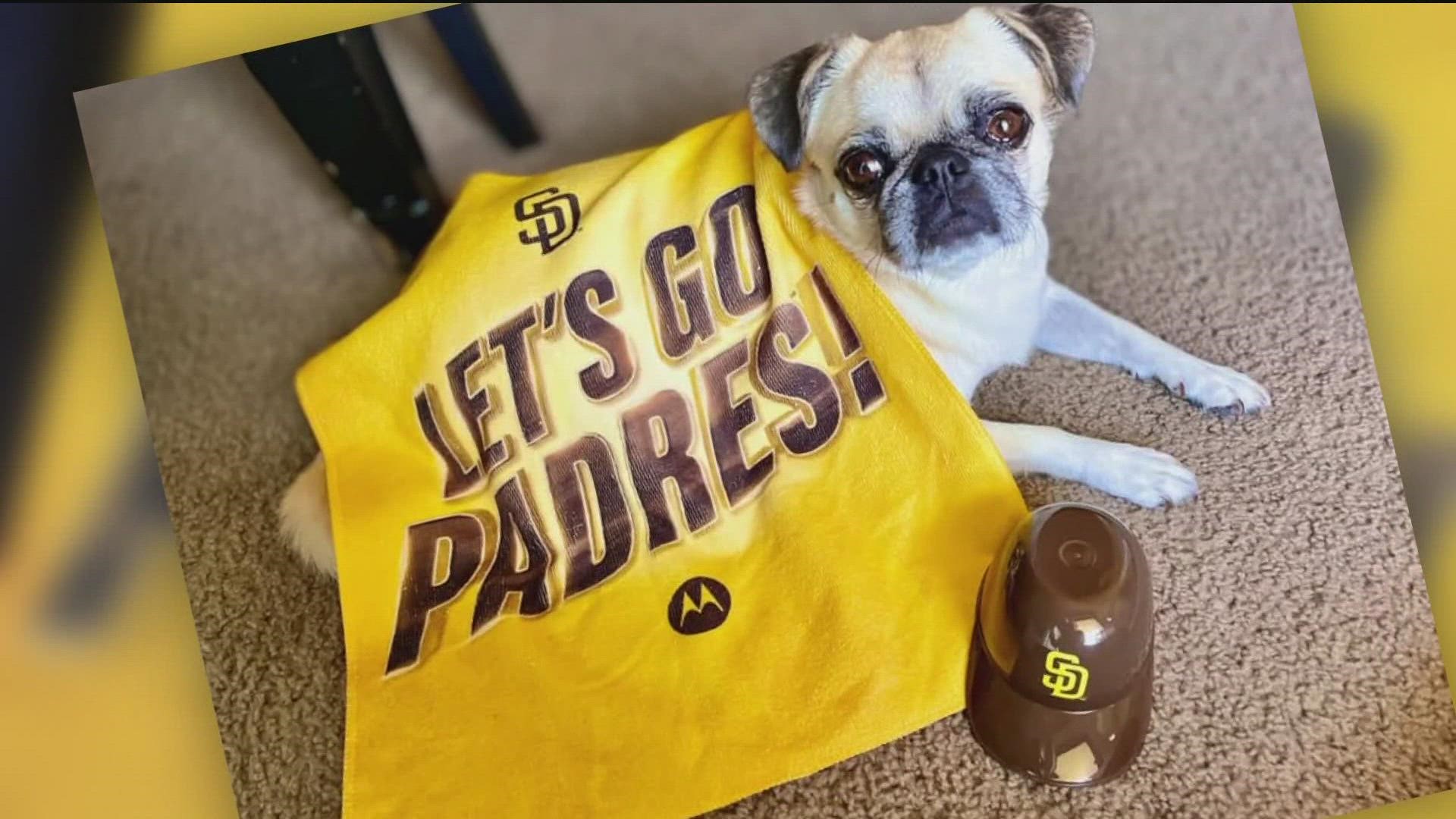 San Diego Padres Dog Jersey