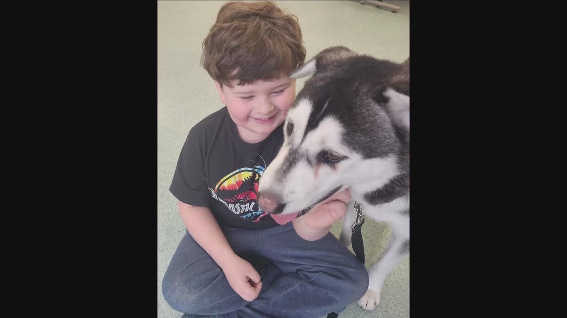 Family drives over 2,600 miles to adopt Harvey the husky in San Diego