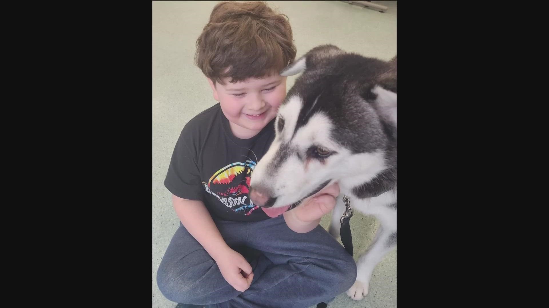 A husky with a facial deformity and an endearing lopsided grin caught the attention of a family in Seattle that decided to road trip to San Diego to adopt him.