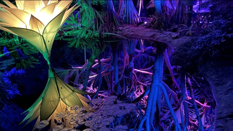 Lightscape: The new after-dark experience opens for the holidays at San Diego Botanic Garden