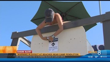 sighting onofre prompts cbs8