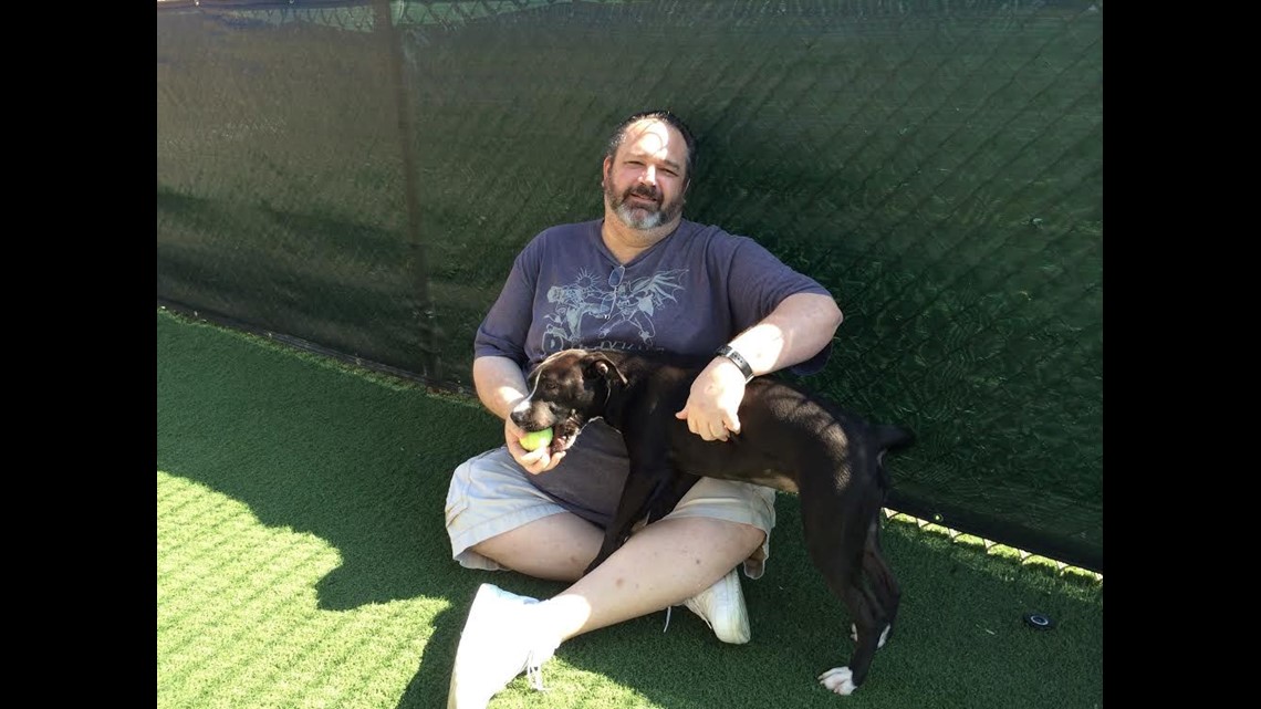 Dog thrown over fence in Ramona adopted