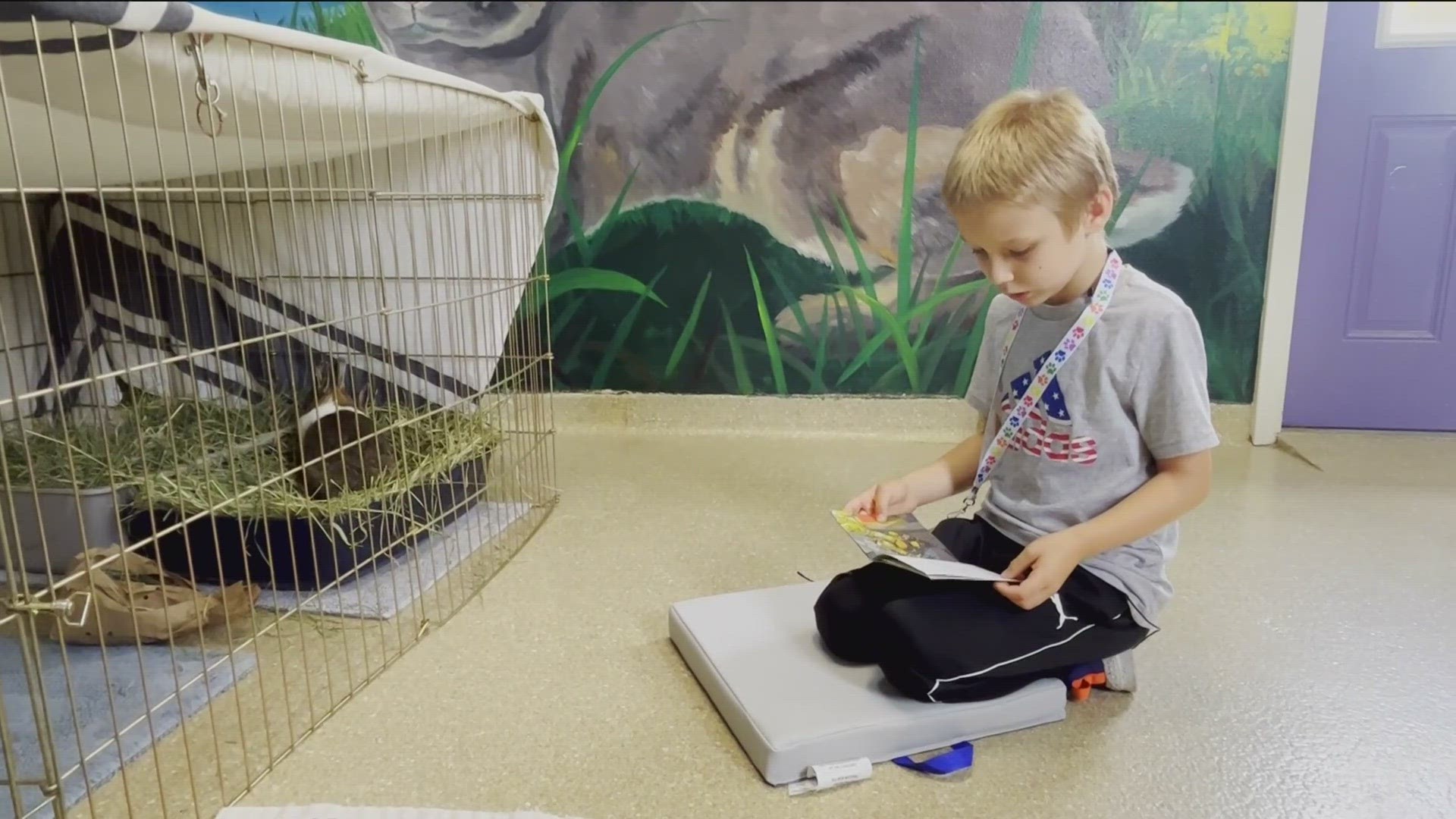 In the Happy Tales Reading Program, once a month kids ages 6-12 can come to the shelter and read books to adoptable cats, dogs and even rabbits.