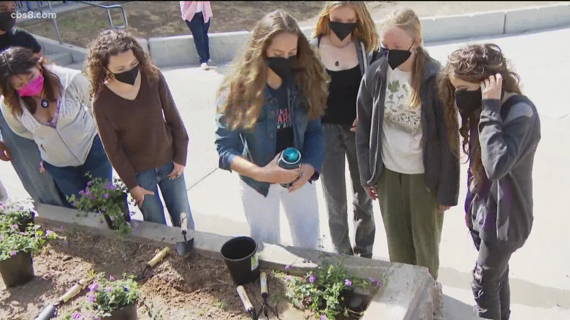 Students from the climate club have a goal of planting 11,000 eco-friendly plants on campus.