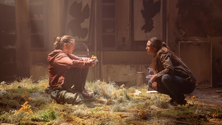 Is the Cordyceps fungus in 'The Last of Us' a real threat to humans?