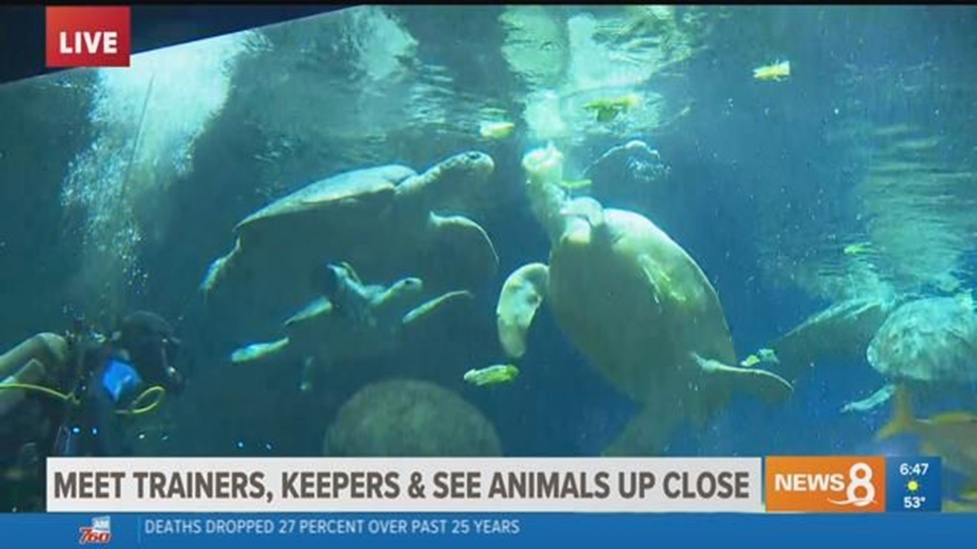 Meet trainers, keepers & see animals up close during Inside Look at