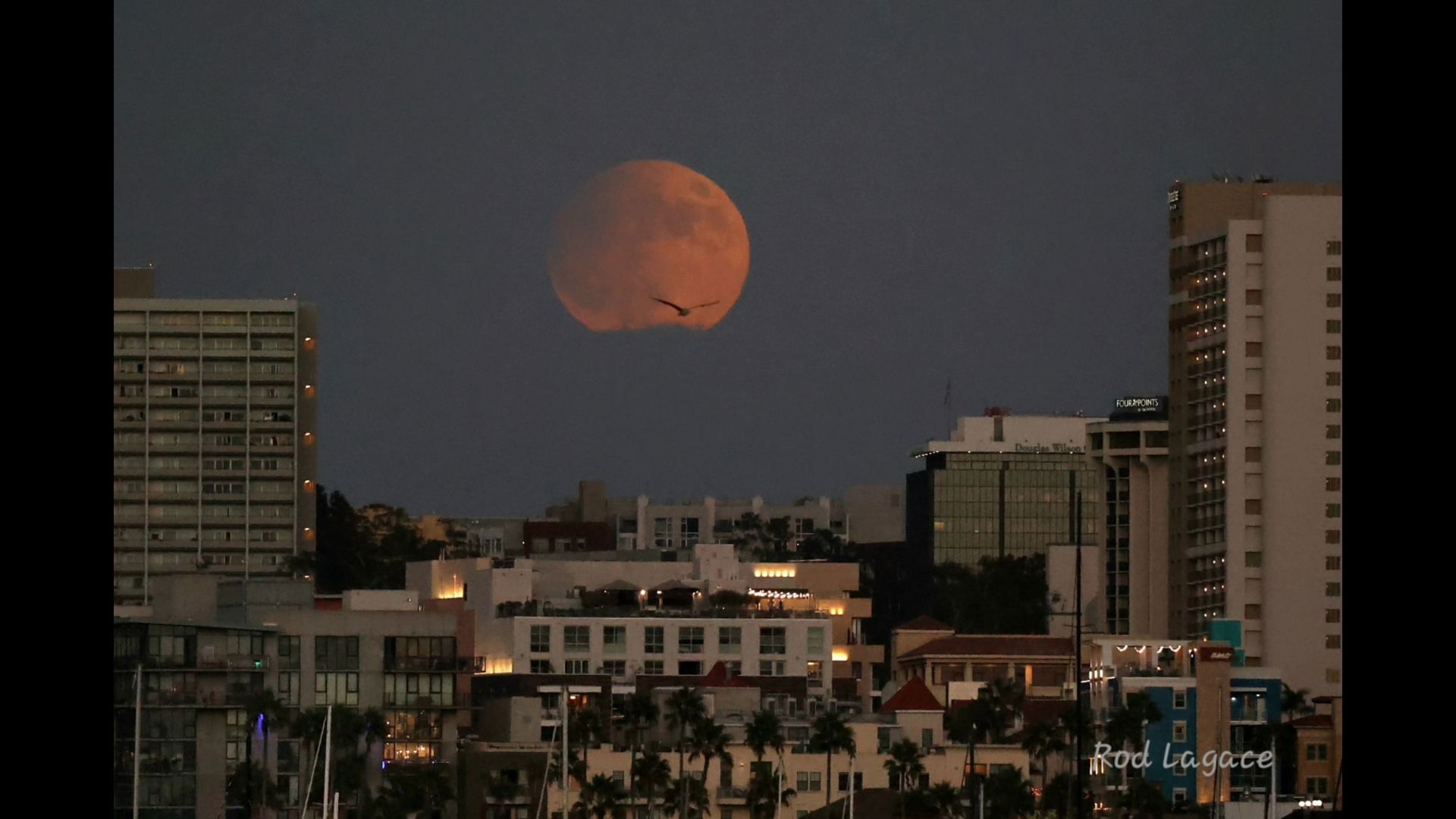 PHOTOS | Celestial trifecta of a partial lunar eclipse, super and ...