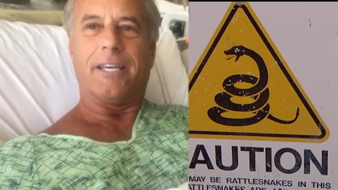 Man survives rattlesnake bites at Torrey Pines State Beach